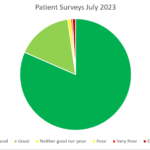 patient survey pie chart july 2023