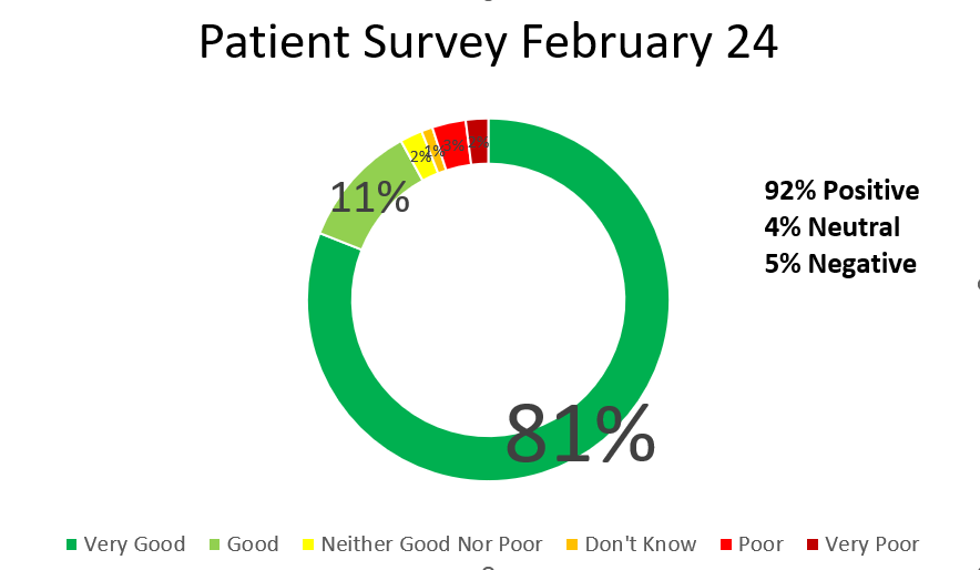 Pie Chart Reflecting All Patient Feedback in February 2024